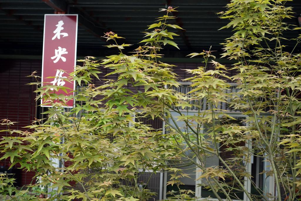 Way Young House Jiufen Exterior photo